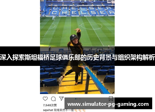 深入探索斯坦福桥足球俱乐部的历史背景与组织架构解析